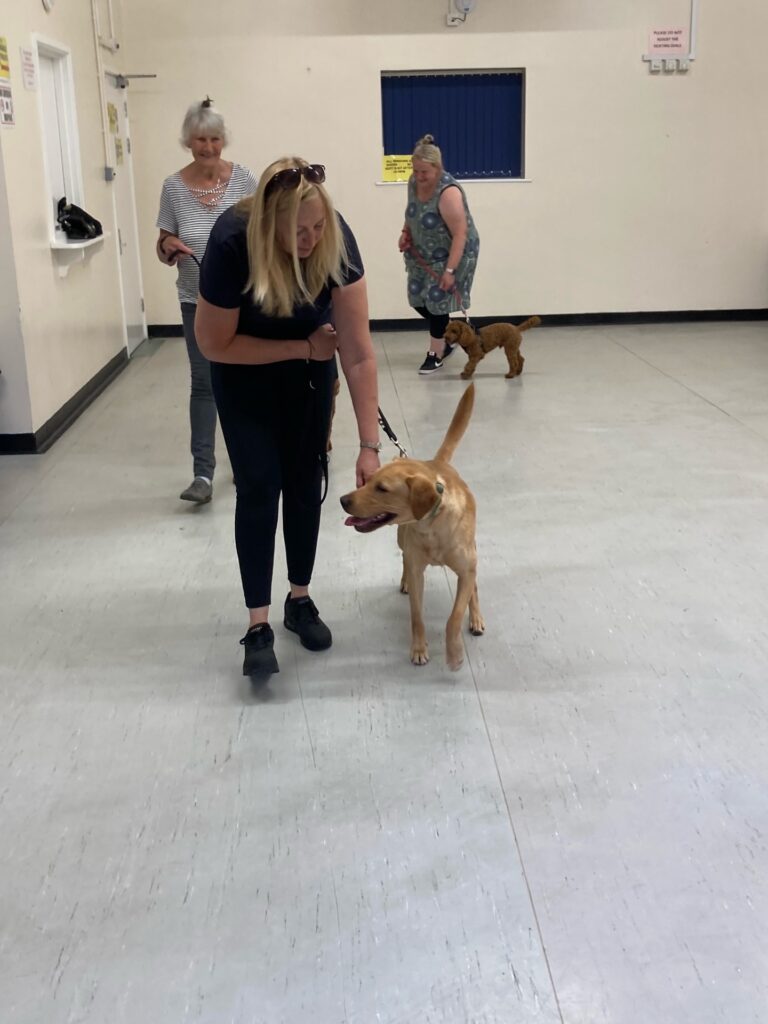 medway dog training class intake
