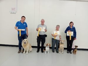 medway dog training club gold award